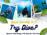 What Is a Try Dive? Discover Scuba Diving in Phu Quoc for First-Timers