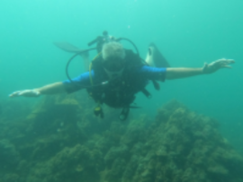 Picture - Diving in Phu Quoc