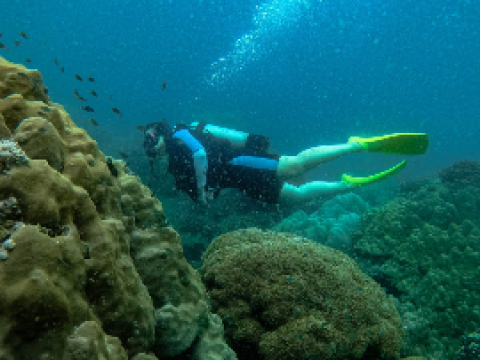 Scuba-diving 28.03.23