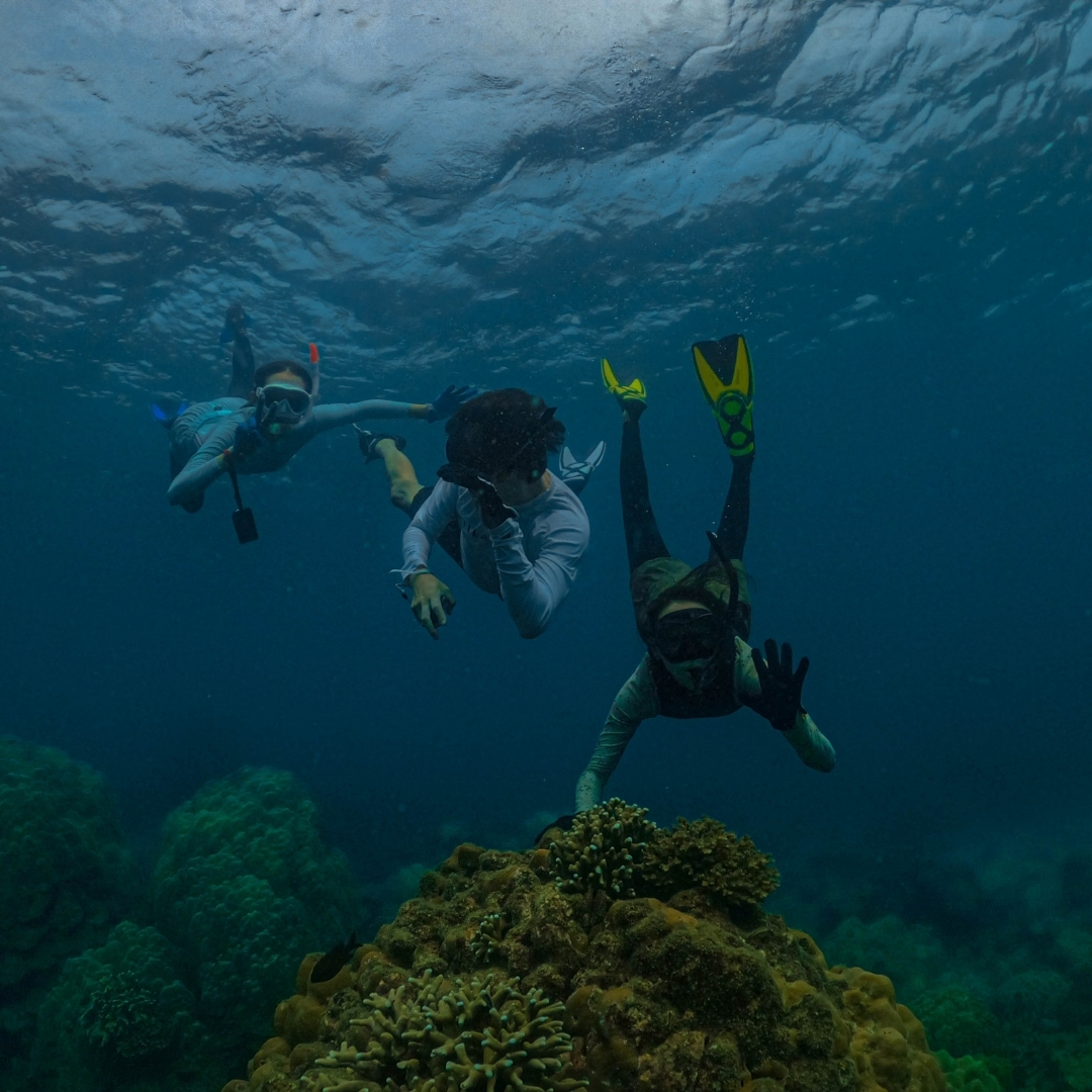 Professional snorkeling tours to explore shallow waters rich in coral growth