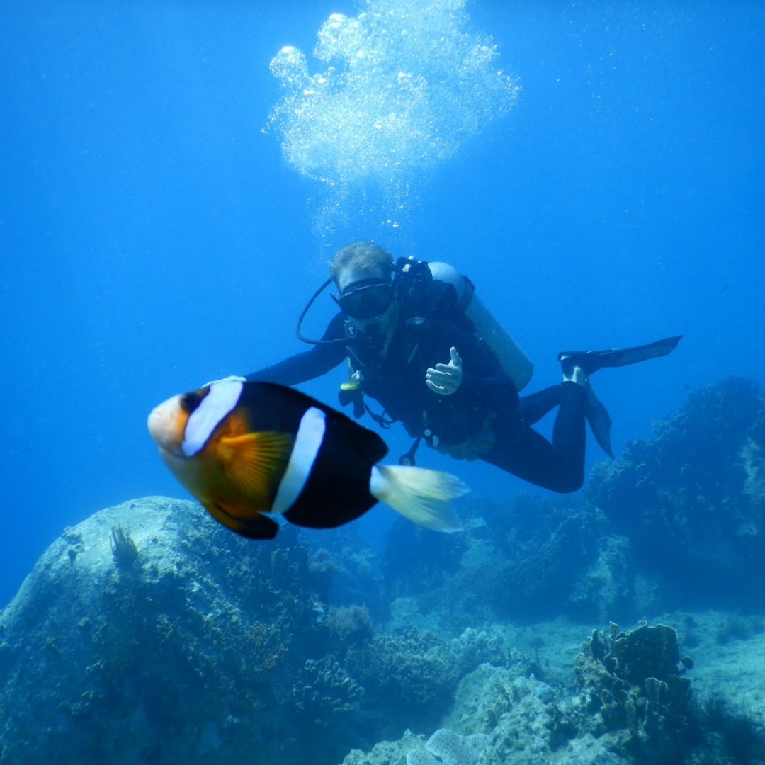 Tourists participating in diving activities at Phu Quoc's Coral Forest