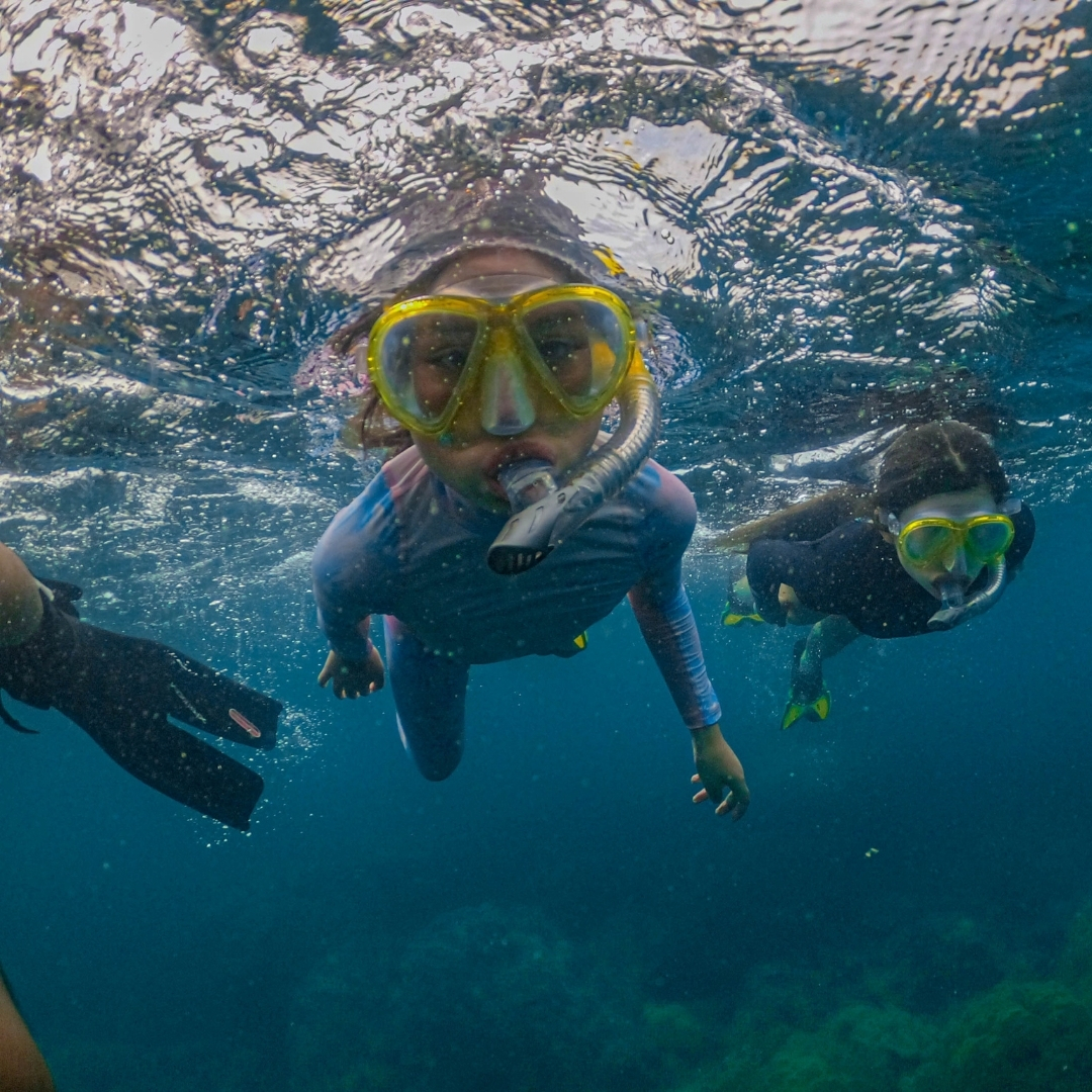 Visitors enjoying a coral reef diving experience at Phu Quoc Coral Forest
