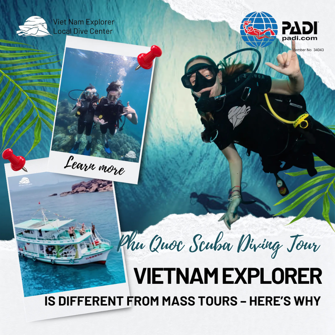how-is-vietnam-explorers-diving-tour-different-from-mass-tours-in-phu-quoc