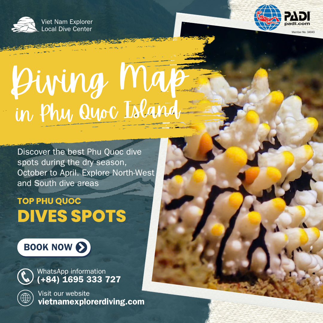 top-phu-quoc-dive-spots
