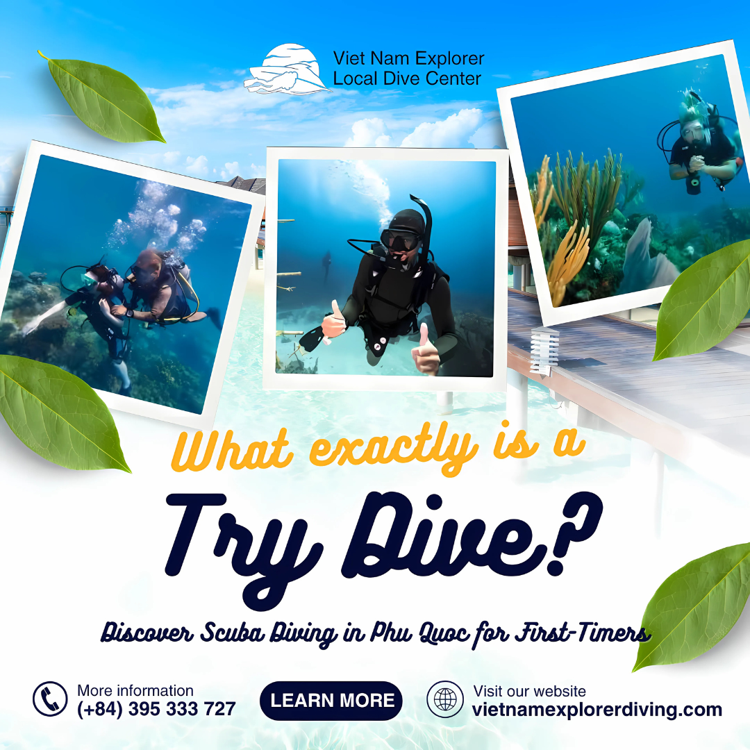 what-is-a-try-dive-discover-scuba-diving-in-phu-quoc-for-first-timers