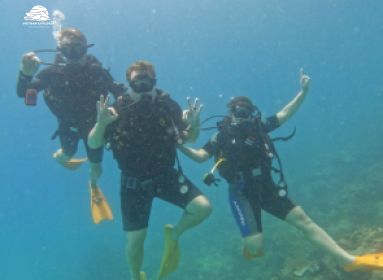  Fun diving 