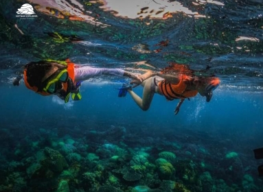 Snorkeling in Phu Quoc