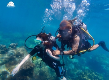 Discover Scuba Diving