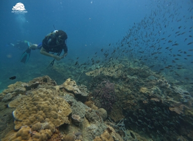 Advanced Open Water Diver
