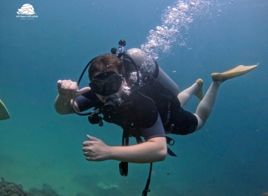 THE SCUBA DIVER