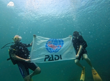  Fun diving 